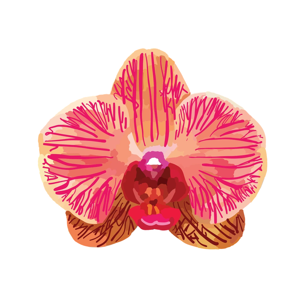 Orange Orchid Icon